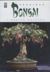 Pokojová bonsai - Votýpka jindřich