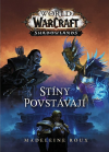 Warcraft - Stíny povstávají - Rouxová Madeleine (Shadows Rising)