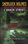 Sherlock Holmes a příležitostní malí detektivové z Baker Street: Záhada zhmotnělého muže (Sherlock Holmes and the Baker Street Irregulars: The Mystery of the Conjured Man)