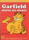 Garfield 19: Místo na slunci - Davis Jim