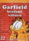 Garfield 22: Bradami vzhůru - Davis Jim